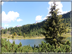 foto Laghi di Colbricon